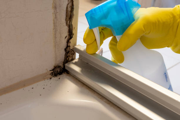 Best Bathroom Mold Remediation in Cowan, TN